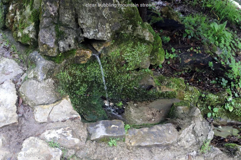 clear bubbling mountain stream